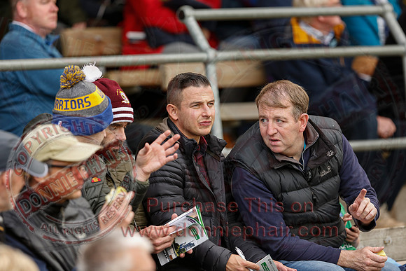 Derrygonnelly Harps (0-15) V Devenish (0-08) in Senior GAA Football Championship Final.