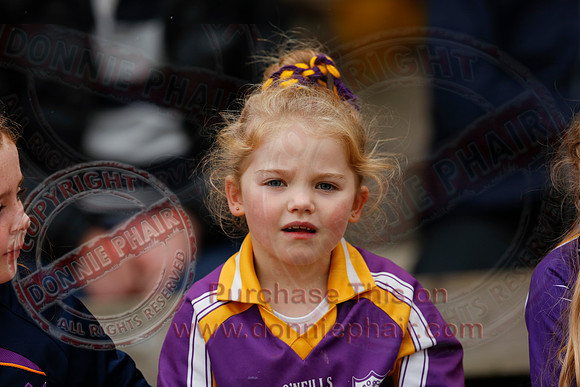 Derrygonnelly Harps (0-15) V Devenish (0-08) in Senior GAA Football Championship Final.