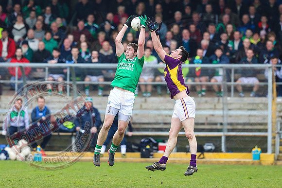 Fermanagh (2-20) V Wexford (3-8) in Allianz National Football League Division 3.