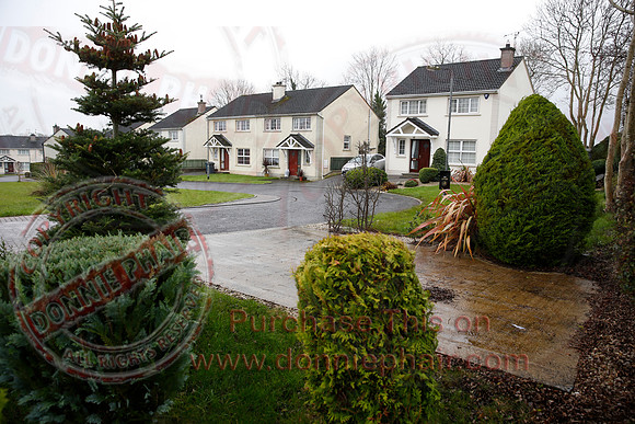 Teemore Village.
