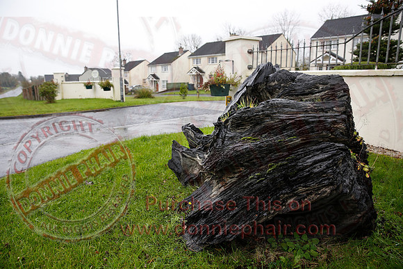 Teemore Village.