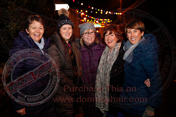 Christmas Lights in Lisbellaw.