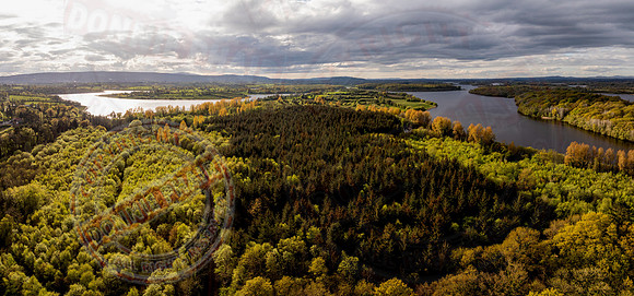 Derryvore Forest-1