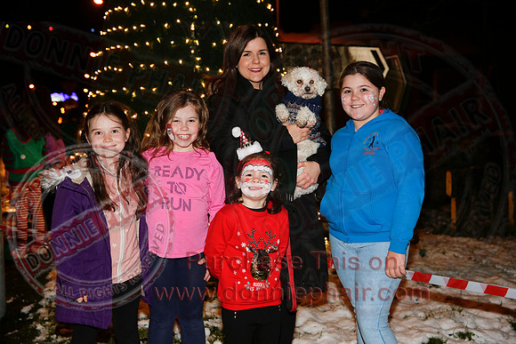 Christmas Lights in Newtownbutler.