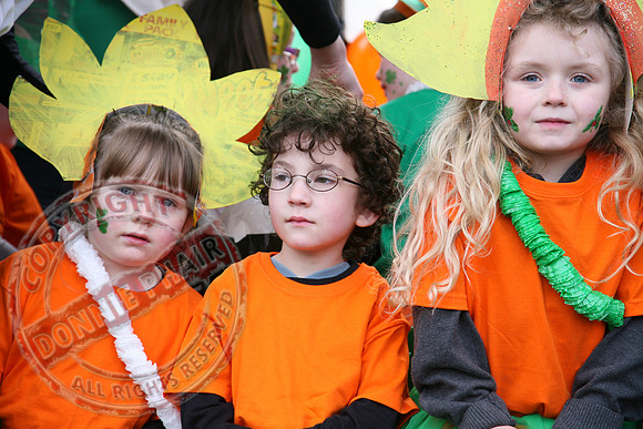 St. Patrick's Day Parade in Newtownbutler.