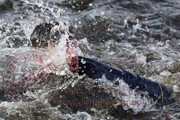 New Years Day Charity Swim at Galloon Island.-30