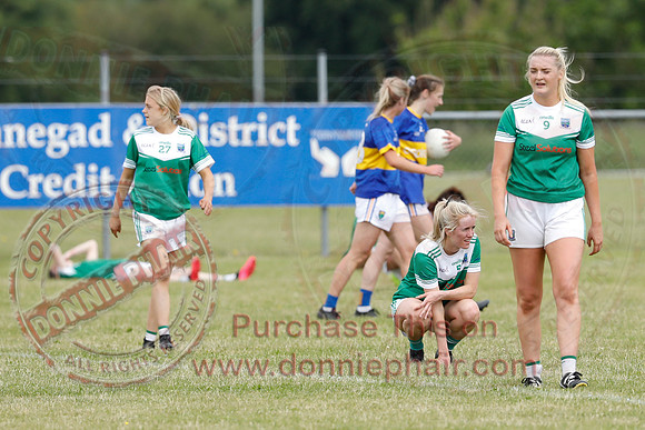 Fermanagh (1-12) V Wicklow (1-13) in National GAA Football League Division 3 Relegation Play-Off-55