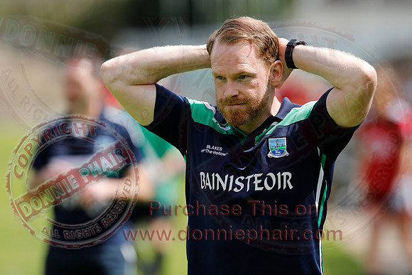 Fermanagh (2-12) V Down (1-17) in Ladies National GAA Football League Division 3A-19