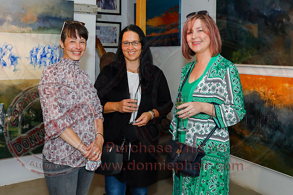 Art Exhibition in Hambly and Hambly, Enniskillen-14