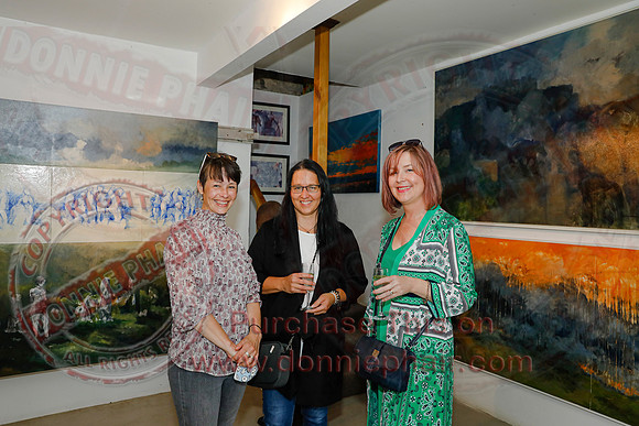 Art Exhibition in Hambly and Hambly, Enniskillen-15