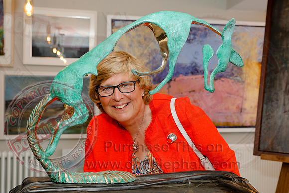 Art Exhibition in Hambly and Hambly, Enniskillen-20