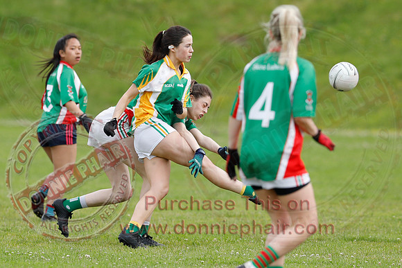 Lisnaskea (3-10) V Knockninny (4-14) in Ladies 9-a-side GAA Football-2