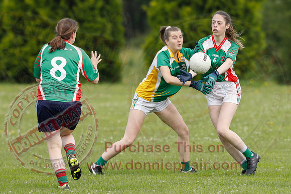Lisnaskea (3-10) V Knockninny (4-14) in Ladies 9-a-side GAA Football-10