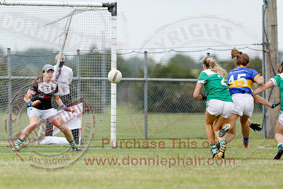 Fermanagh (1-12) V Wicklow (1-13) in National GAA Football League Division 3 Relegation Play-Off-15