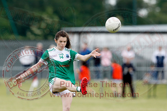 Fermanagh (1-12) V Wicklow (1-13) in National GAA Football League Division 3 Relegation Play-Off-29