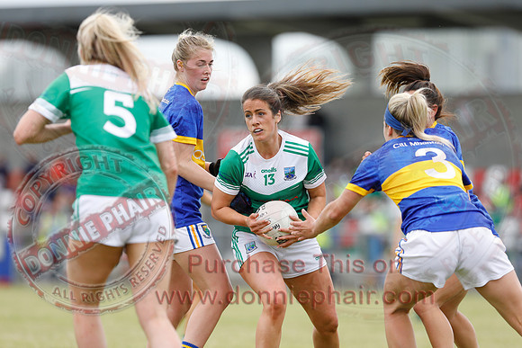 Fermanagh (1-12) V Wicklow (1-13) in National GAA Football League Division 3 Relegation Play-Off-36
