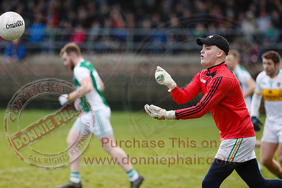 Fermanagh (2-11) V Offaly (1-6) in National GAA Football League Division Three.  -14