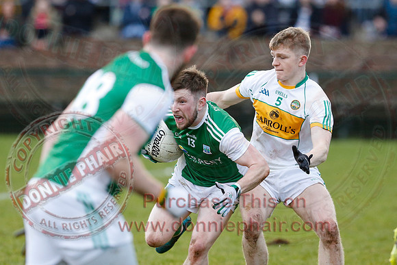 Fermanagh (2-11) V Offaly (1-6) in National GAA Football League Division Three.  -18