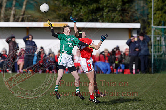 Fermanagh (3-10) V Louth (2-05) in Ladies National GAA Football League, Division Four.-1