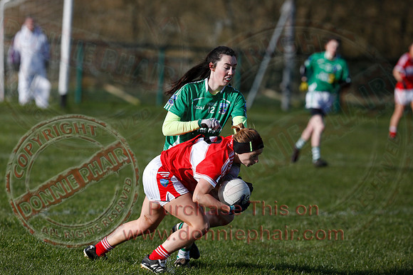 Fermanagh (3-10) V Louth (2-05) in Ladies National GAA Football League, Division Four.-2