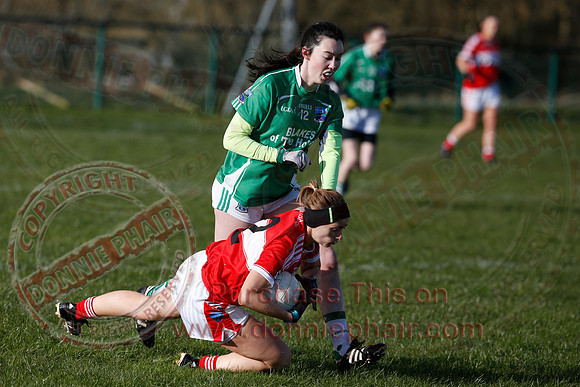Fermanagh (3-10) V Louth (2-05) in Ladies National GAA Football League, Division Four.-3