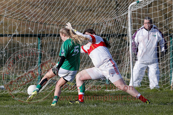 Fermanagh (3-10) V Louth (2-05) in Ladies National GAA Football League, Division Four.-4