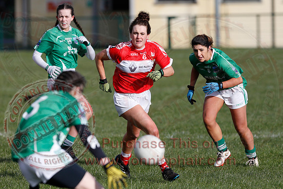 Fermanagh (3-10) V Louth (2-05) in Ladies National GAA Football League, Division Four.-6