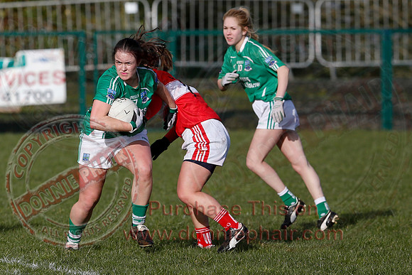 Fermanagh (3-10) V Louth (2-05) in Ladies National GAA Football League, Division Four.-8