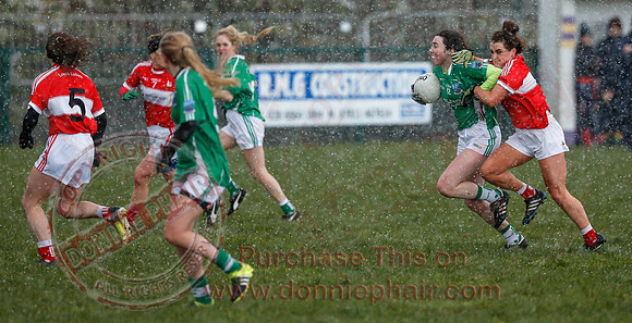 Fermanagh (3-10) V Louth (2-05) in Ladies National GAA Football League, Division Four.-12