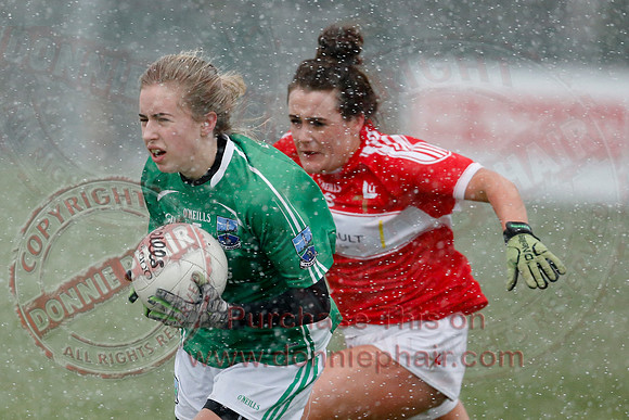 Fermanagh (3-10) V Louth (2-05) in Ladies National GAA Football League, Division Four.-14