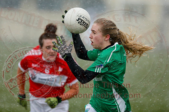 Fermanagh (3-10) V Louth (2-05) in Ladies National GAA Football League, Division Four.-15