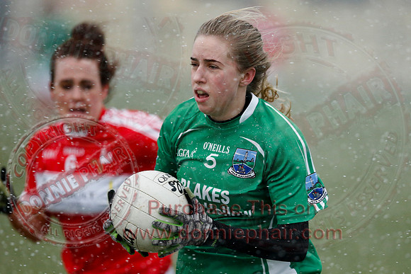 Fermanagh (3-10) V Louth (2-05) in Ladies National GAA Football League, Division Four.-16