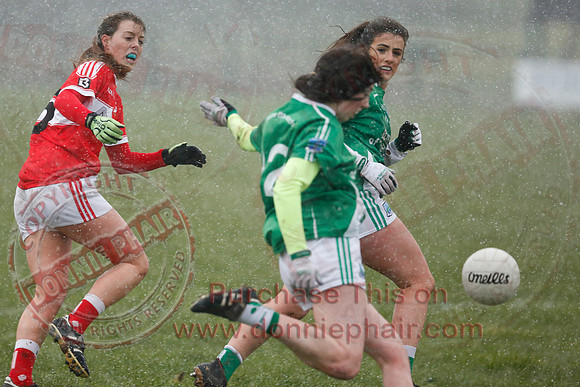 Fermanagh (3-10) V Louth (2-05) in Ladies National GAA Football League, Division Four.-17