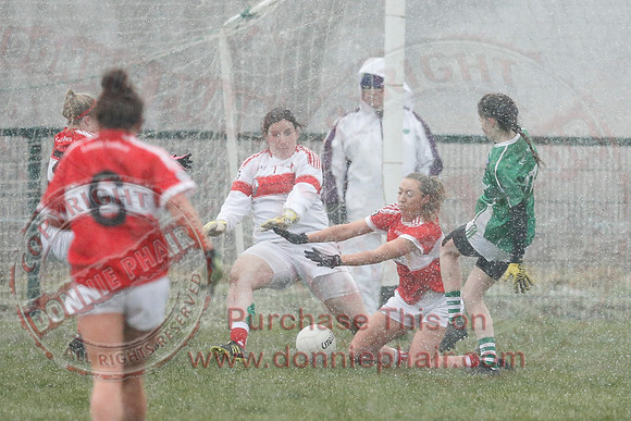 Fermanagh (3-10) V Louth (2-05) in Ladies National GAA Football League, Division Four.-18