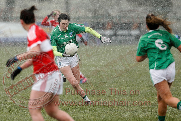 Fermanagh (3-10) V Louth (2-05) in Ladies National GAA Football League, Division Four.-19