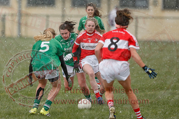 Fermanagh (3-10) V Louth (2-05) in Ladies National GAA Football League, Division Four.-20