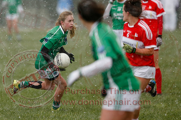 Fermanagh (3-10) V Louth (2-05) in Ladies National GAA Football League, Division Four.-22