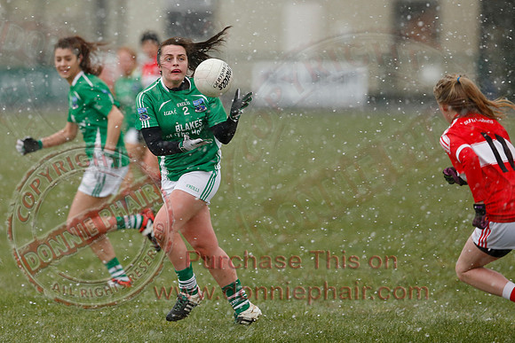 Fermanagh (3-10) V Louth (2-05) in Ladies National GAA Football League, Division Four.-23