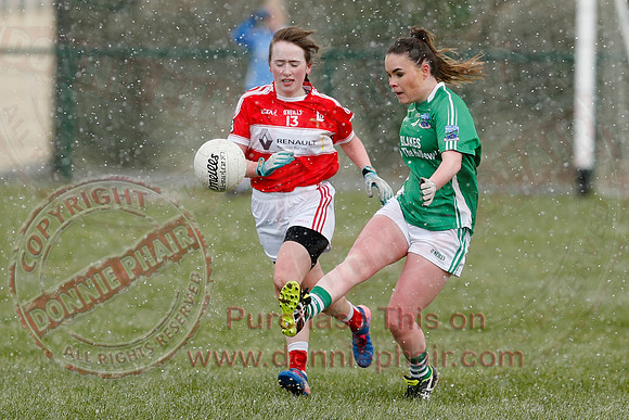 Fermanagh (3-10) V Louth (2-05) in Ladies National GAA Football League, Division Four.-24