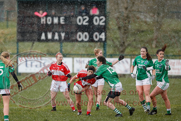 Fermanagh (3-10) V Louth (2-05) in Ladies National GAA Football League, Division Four.-26