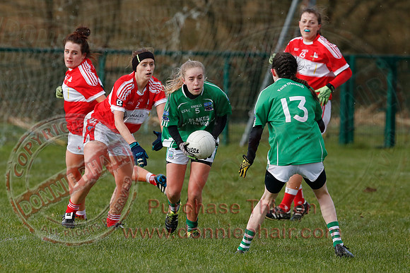 Fermanagh (3-10) V Louth (2-05) in Ladies National GAA Football League, Division Four.-28