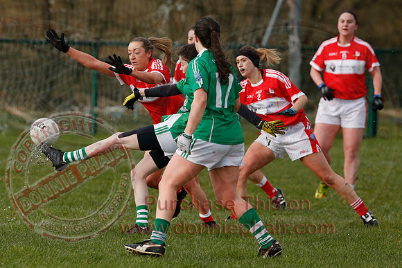 Fermanagh (3-10) V Louth (2-05) in Ladies National GAA Football League, Division Four.-29