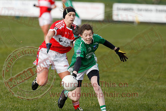 Fermanagh (3-10) V Louth (2-05) in Ladies National GAA Football League, Division Four.-31