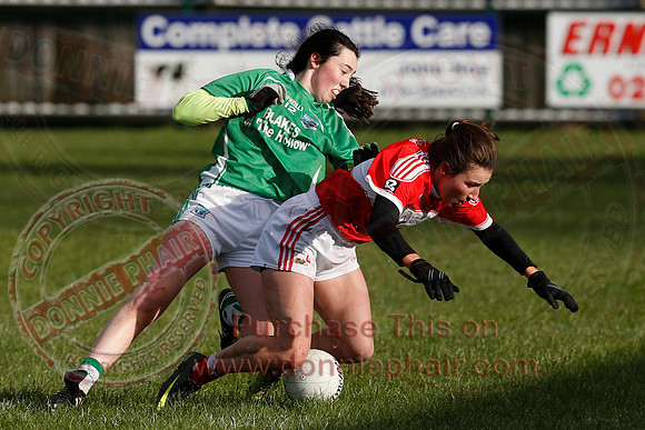 Fermanagh (3-10) V Louth (2-05) in Ladies National GAA Football League, Division Four.-32