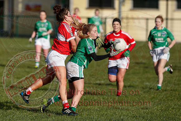 Fermanagh (3-10) V Louth (2-05) in Ladies National GAA Football League, Division Four.-33