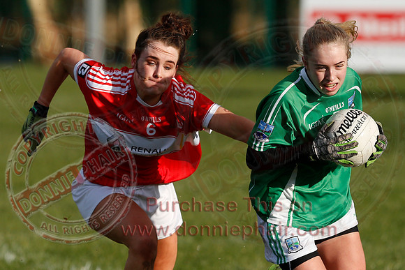 Fermanagh (3-10) V Louth (2-05) in Ladies National GAA Football League, Division Four.-34