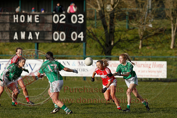 Fermanagh (3-10) V Louth (2-05) in Ladies National GAA Football League, Division Four.-37