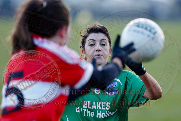 Fermanagh (3-10) V Louth (2-05) in Ladies National GAA Football League, Division Four.-41