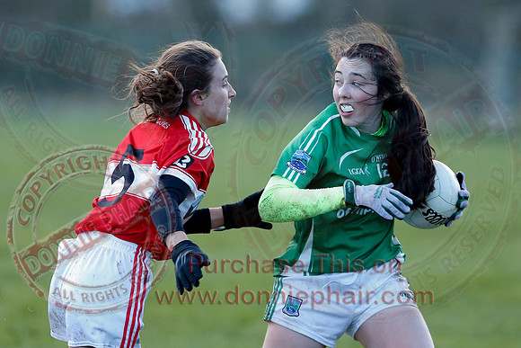 Fermanagh (3-10) V Louth (2-05) in Ladies National GAA Football League, Division Four.-43
