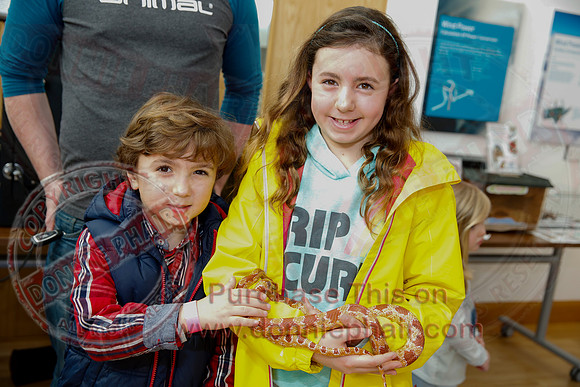 NI Science Festival Road Show in the CREST Centre, Enniskillen.-5